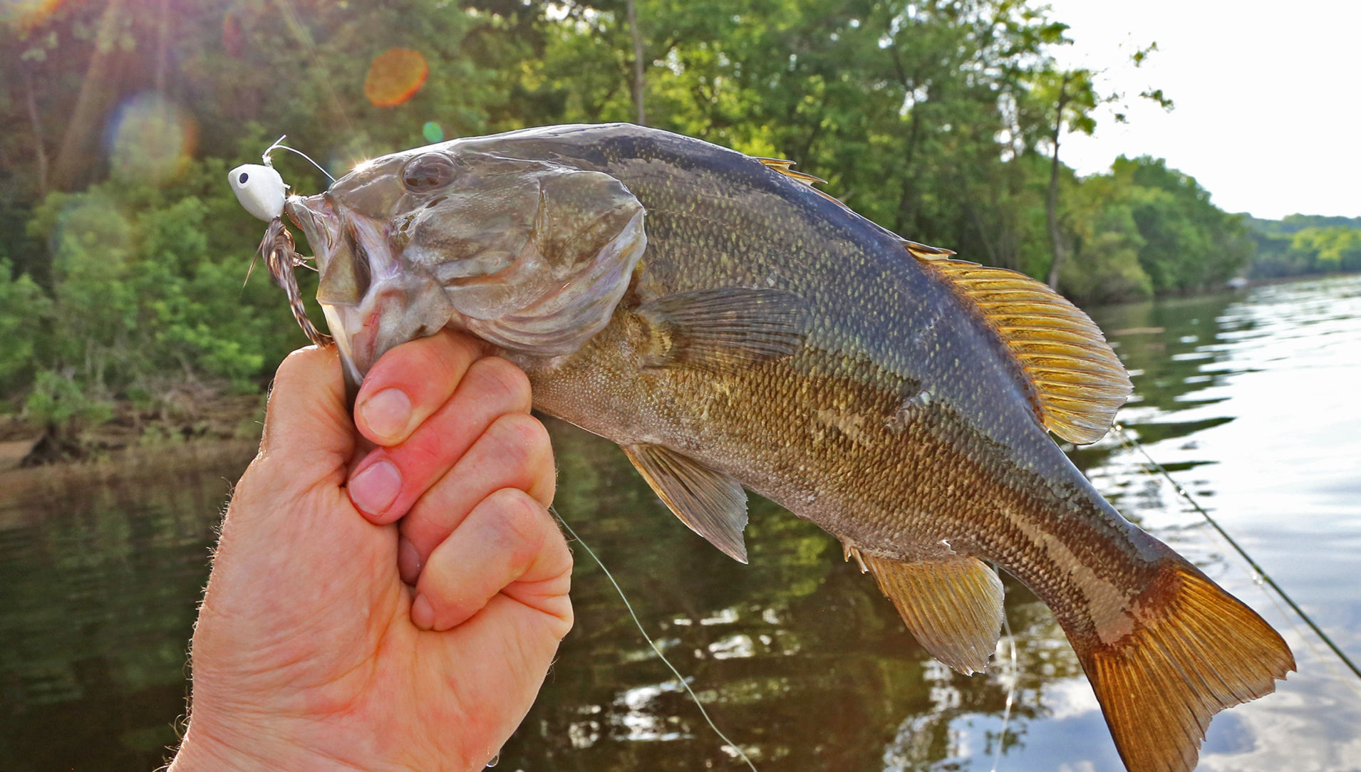 Dennis Anderson: Making every cast count fly fishing on the St. Croix River